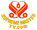 Supreme Master TV